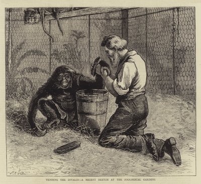 Tending the Invalid, a Recent Sketch at the Zoological Gardens by Samuel Edmund Waller